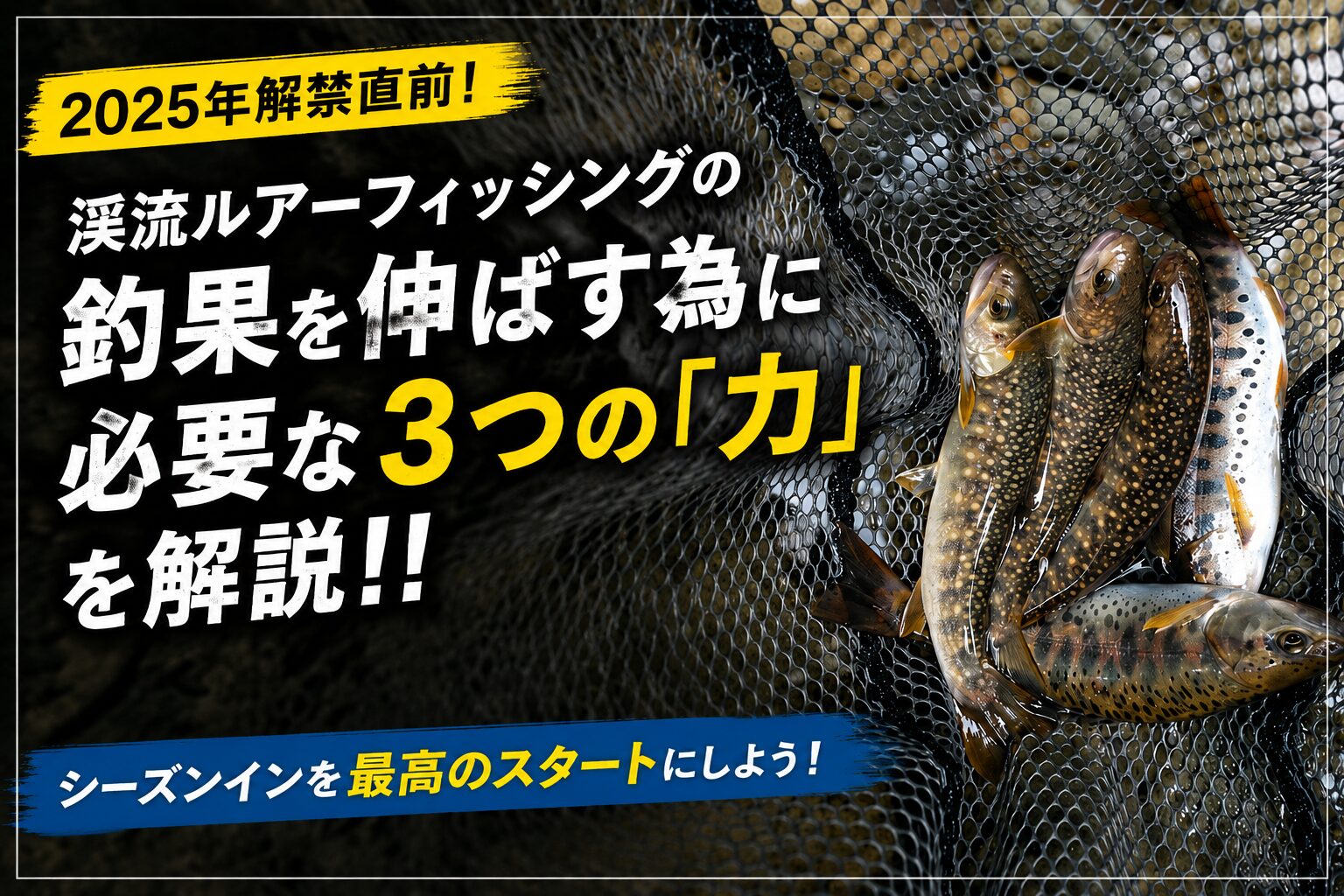 イワナ