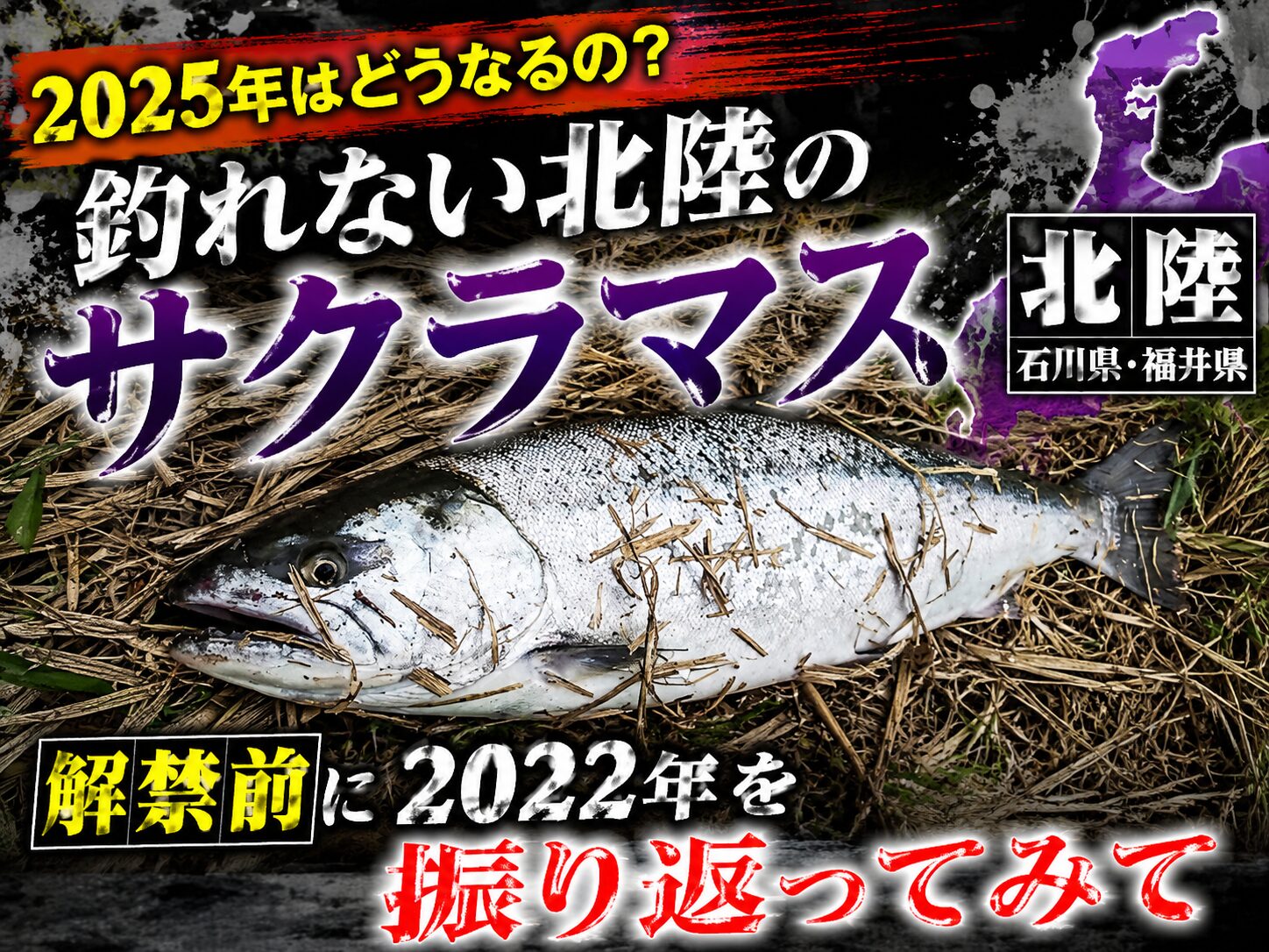 サクラマス