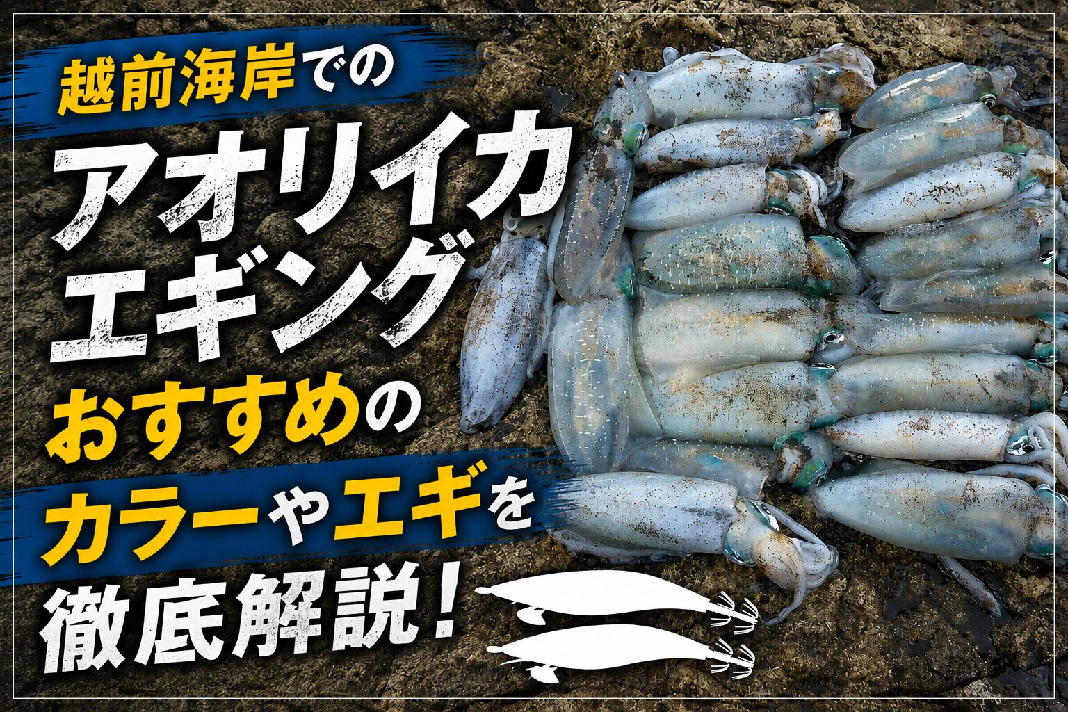 アオリイカ