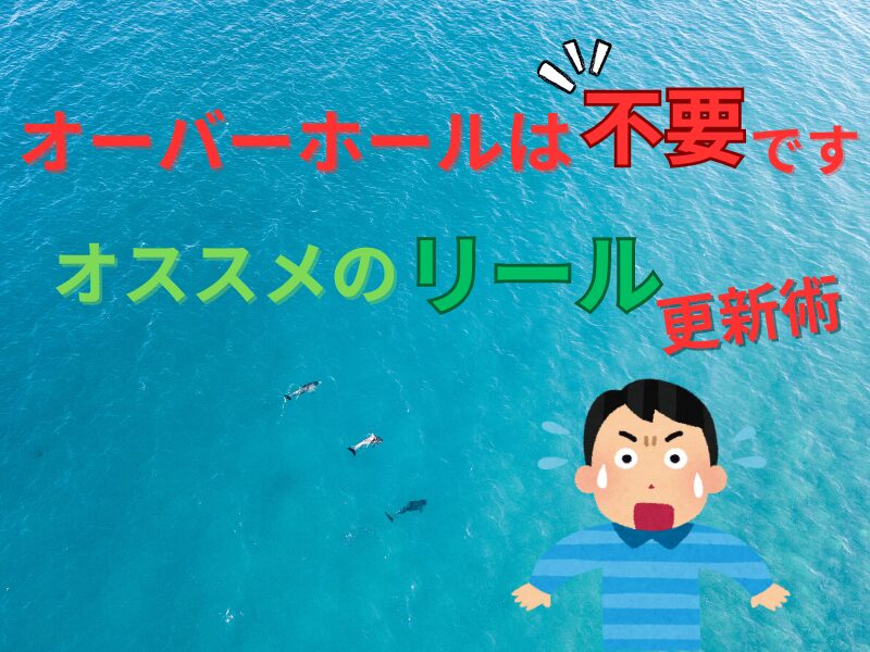 リールのオススメの買い替え時期と販売実績、オーバーホールについて | 遊びを深掘りブログ