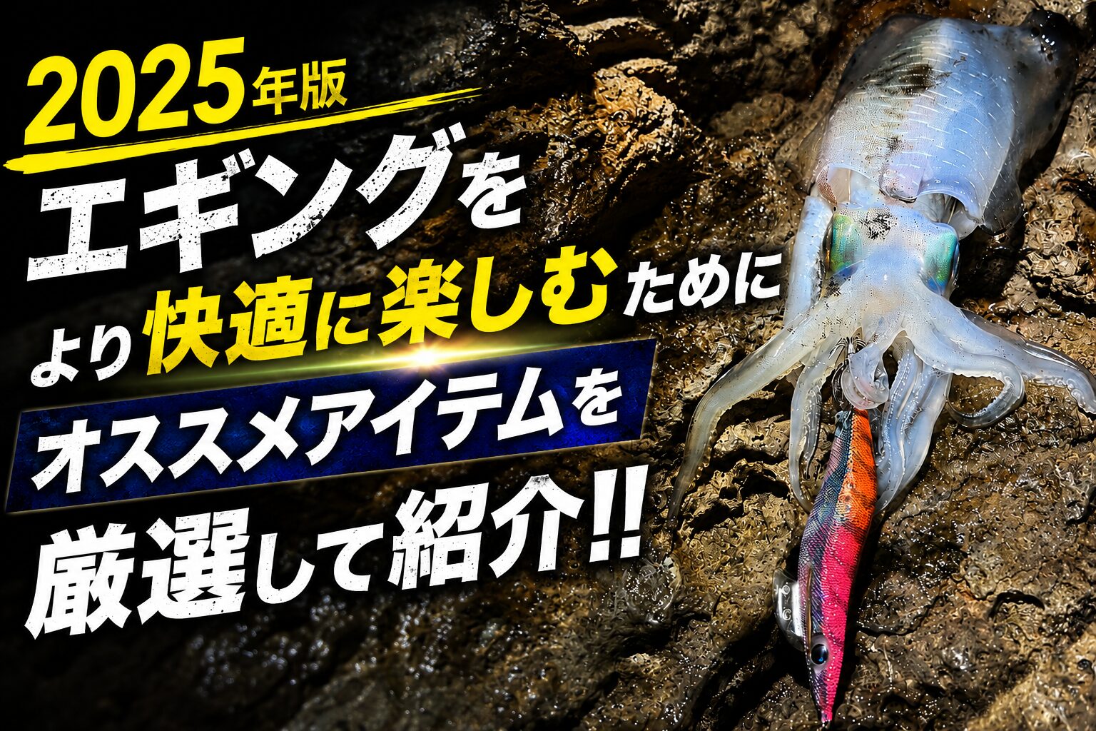 アオリイカ