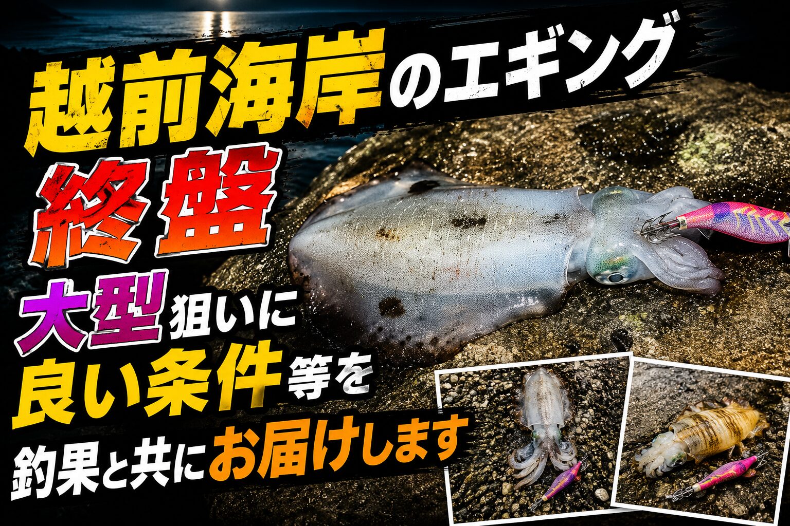 アオリイカ