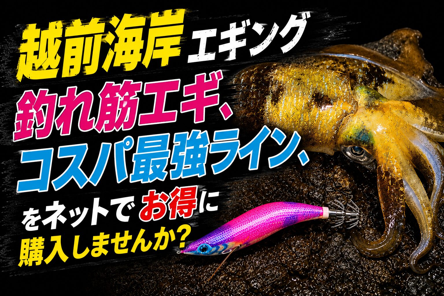 アオリイカ