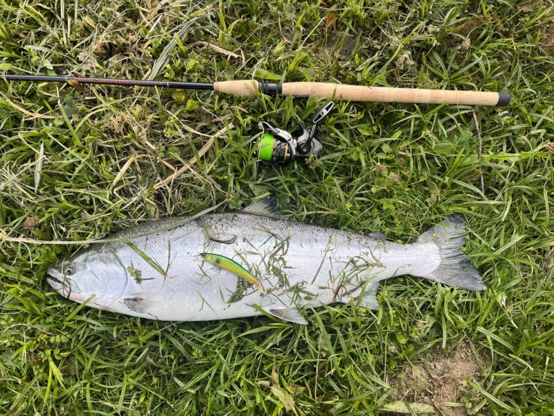 北陸（石川県、福井県）：サクラマスのタックルと釣り方、情報収集術 | 遊びを深掘りブログ