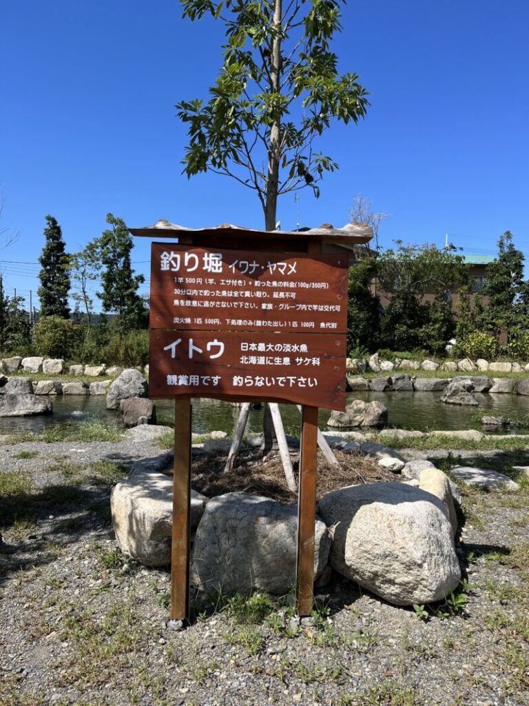 高島の泉、釣り堀