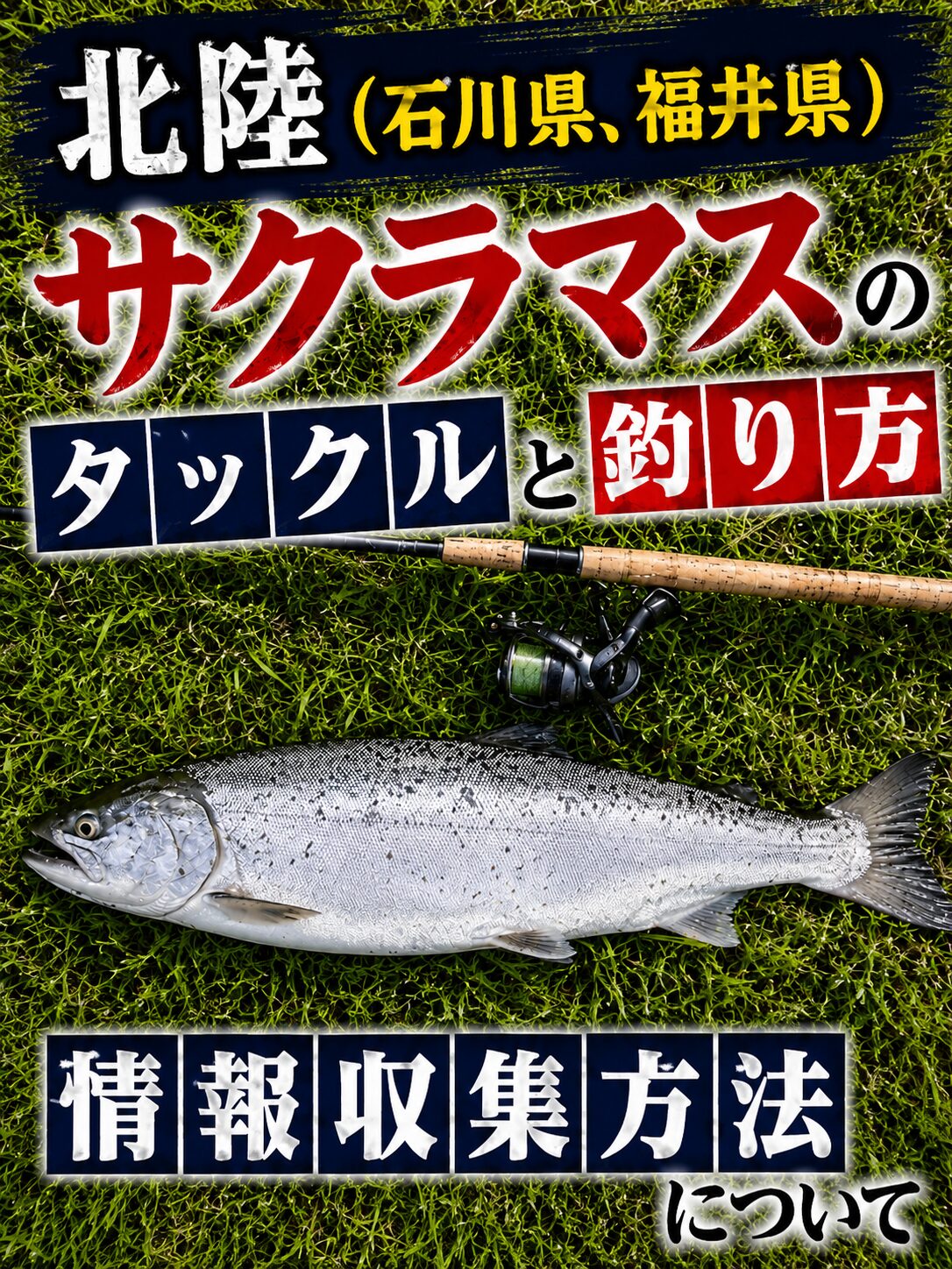 サクラマス
