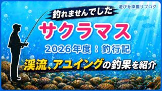 サクラマス釣果